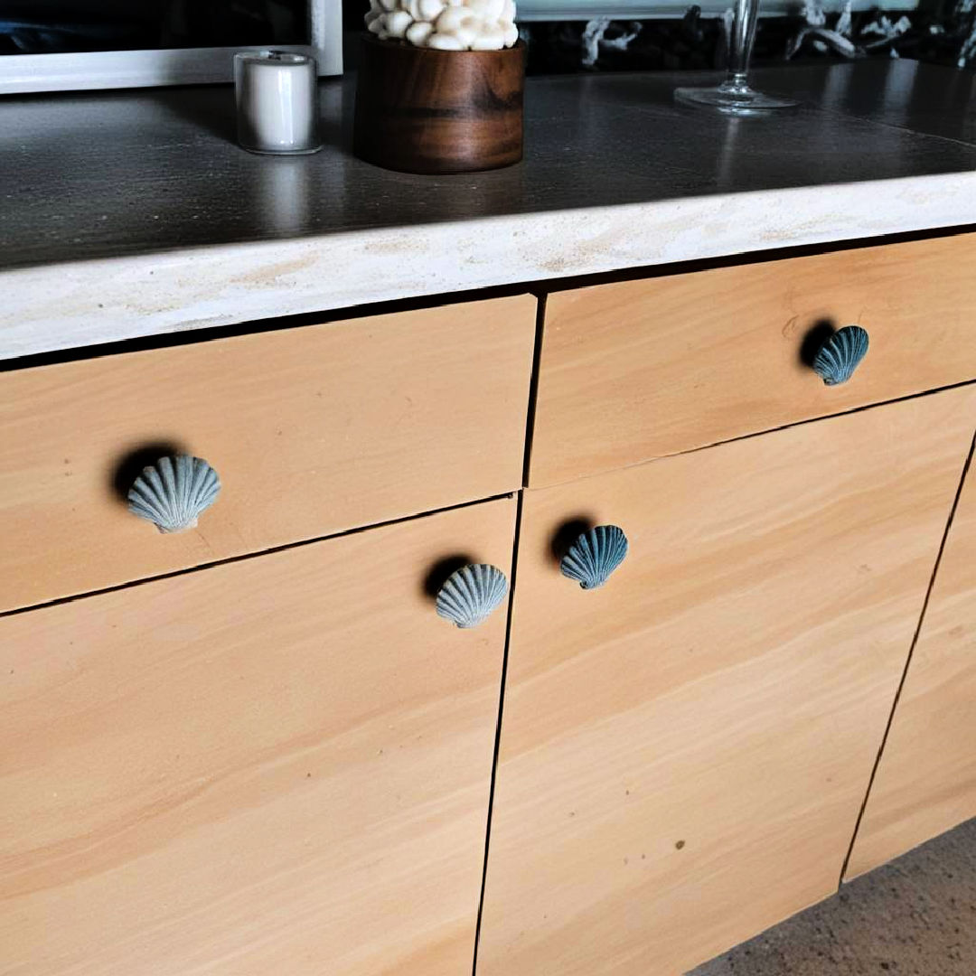 seashell drawer knobs